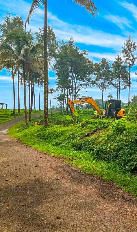 Mini excavator Sany pembukaan lahan perkebunan